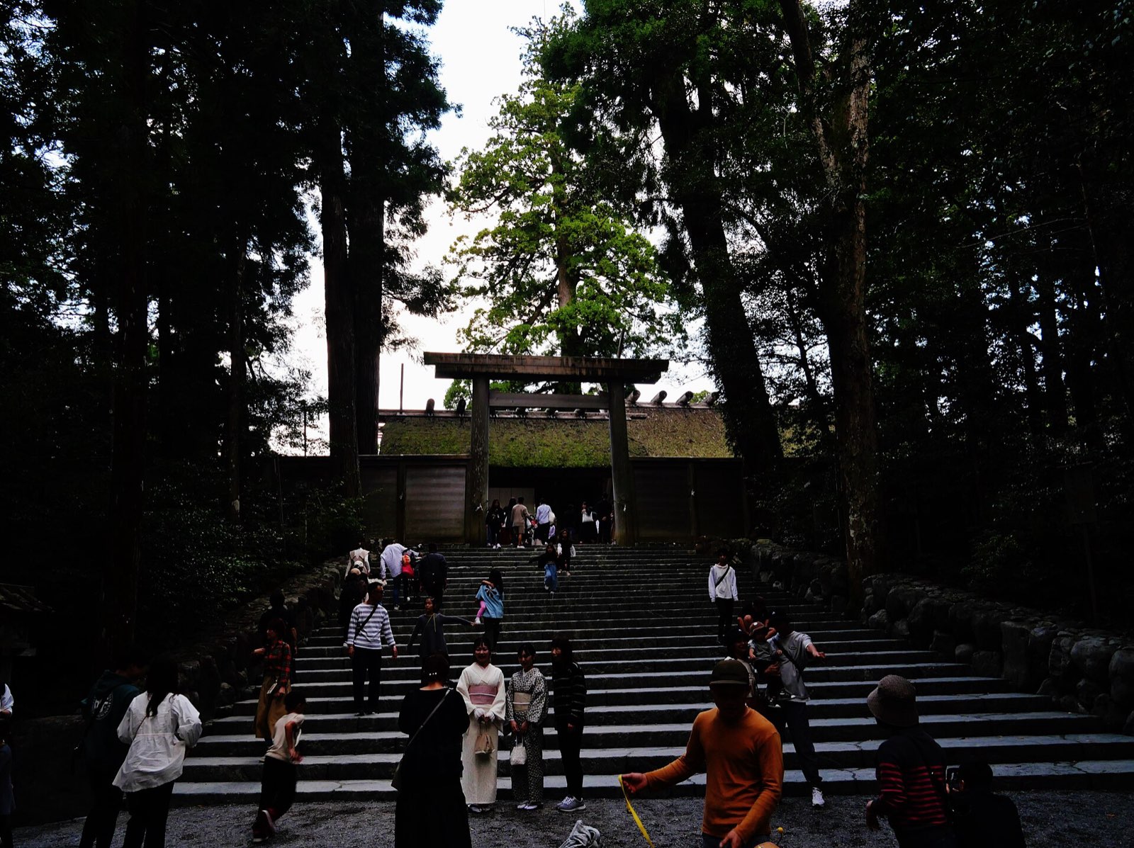 树木环绕的内宫正宫前石阶